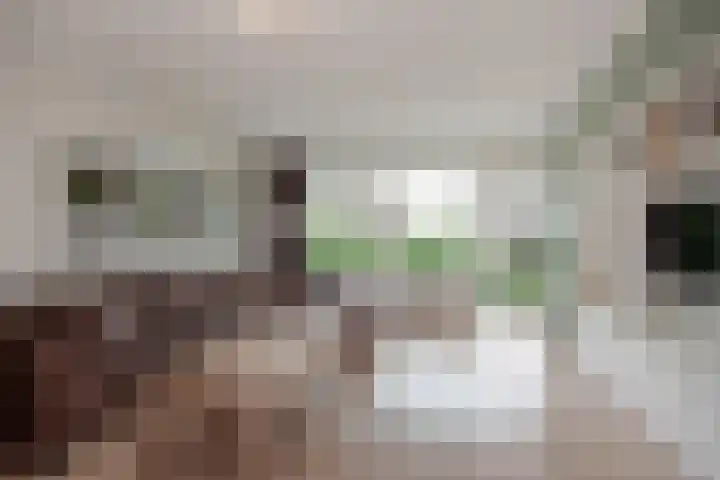 Steenvoordelaan 266 Rijswijk thumbnail 10
