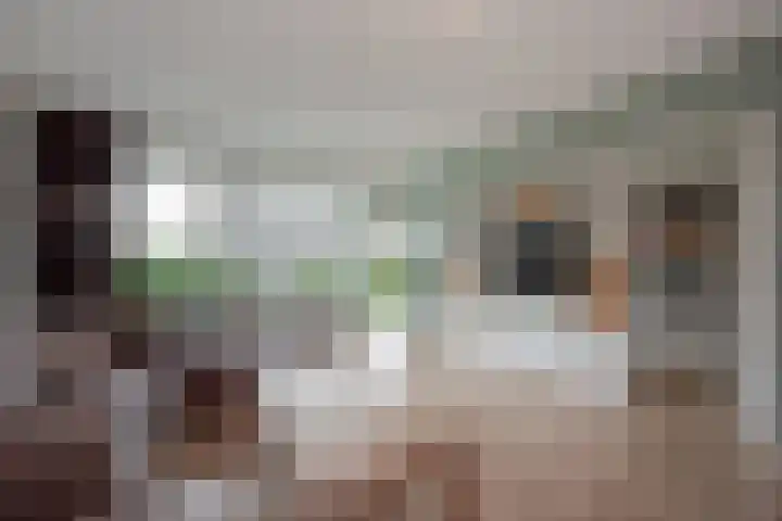 Steenvoordelaan 266 Rijswijk thumbnail 11