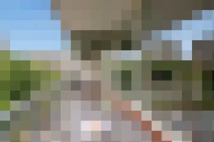 Steenvoordelaan 266 Rijswijk thumbnail 16