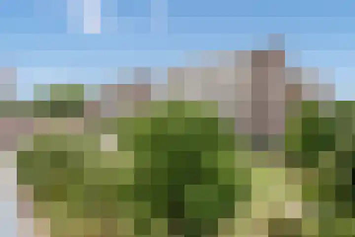 Steenvoordelaan 266 Rijswijk thumbnail 17