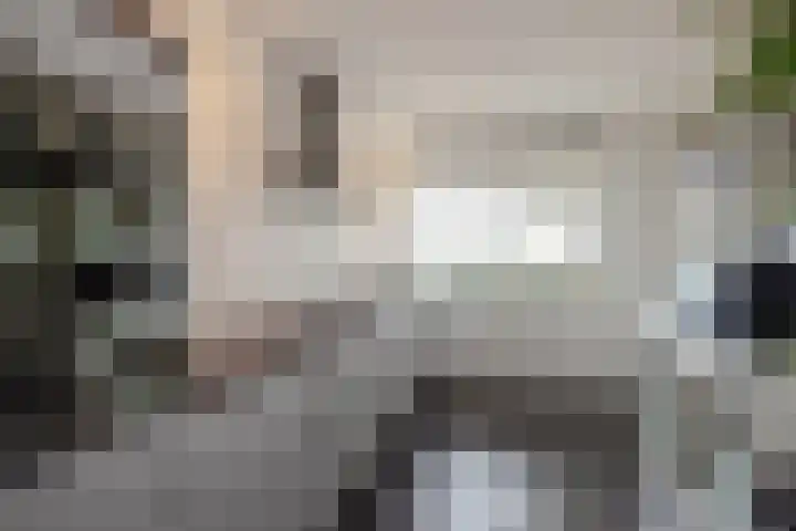 Steenvoordelaan 266 Rijswijk thumbnail 19