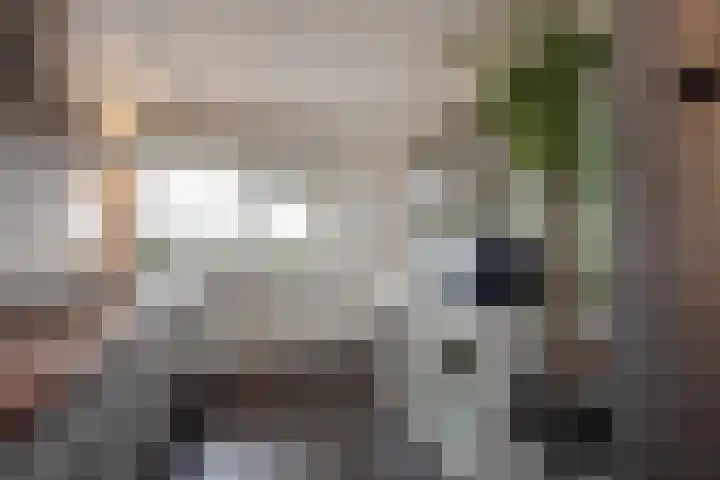 Steenvoordelaan 266 Rijswijk thumbnail 20