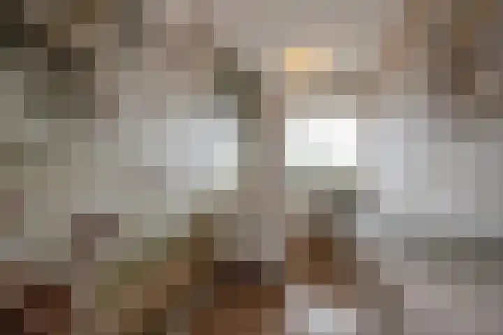Steenvoordelaan 266 Rijswijk thumbnail 26