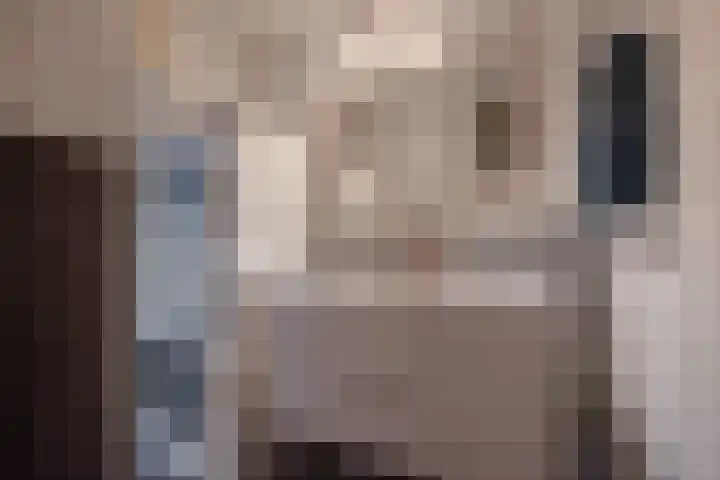 Steenvoordelaan 266 Rijswijk thumbnail 27