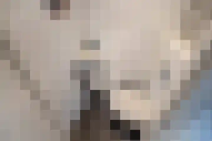 Steenvoordelaan 266 Rijswijk thumbnail 30