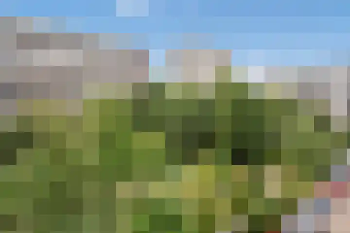 Steenvoordelaan 266 Rijswijk thumbnail 4