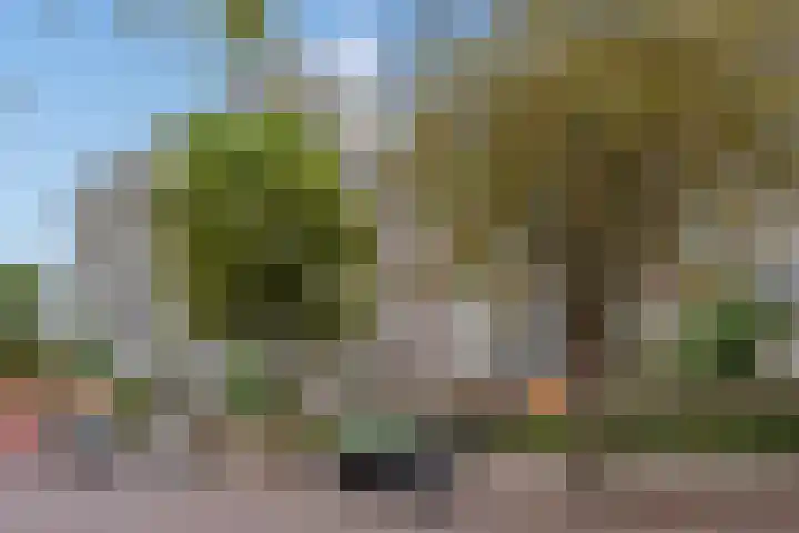 Steenvoordelaan 266 Rijswijk thumbnail 5