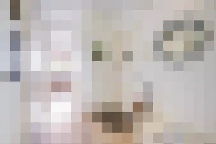 Steenvoordelaan 300 Rijswijk thumbnail 10