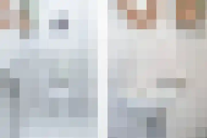 Steenvoordelaan 300 Rijswijk thumbnail 11