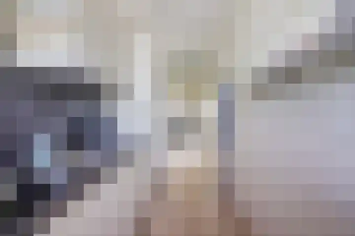 Steenvoordelaan 300 Rijswijk thumbnail 12