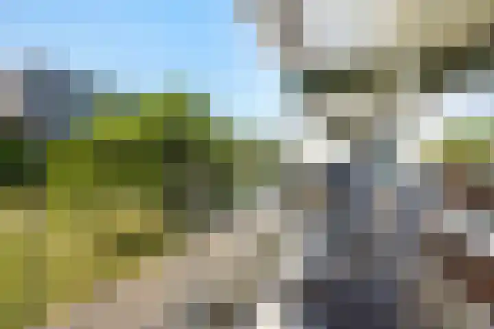 Steenvoordelaan 300 Rijswijk thumbnail 15