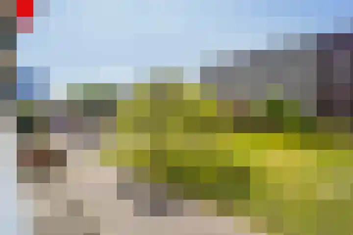 Steenvoordelaan 300 Rijswijk thumbnail 16