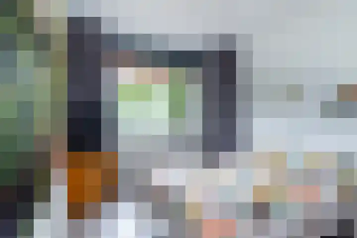 Steenvoordelaan 300 Rijswijk thumbnail 24