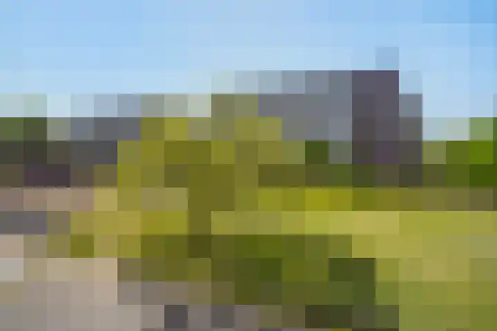 Steenvoordelaan 300 Rijswijk thumbnail 4