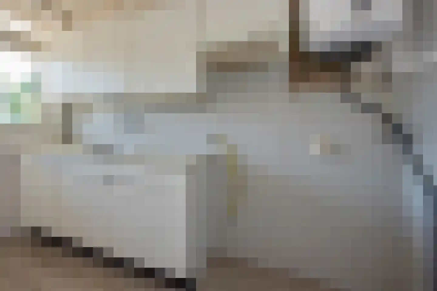 Steenvoordelaan 327 Rijswijk thumbnail 10