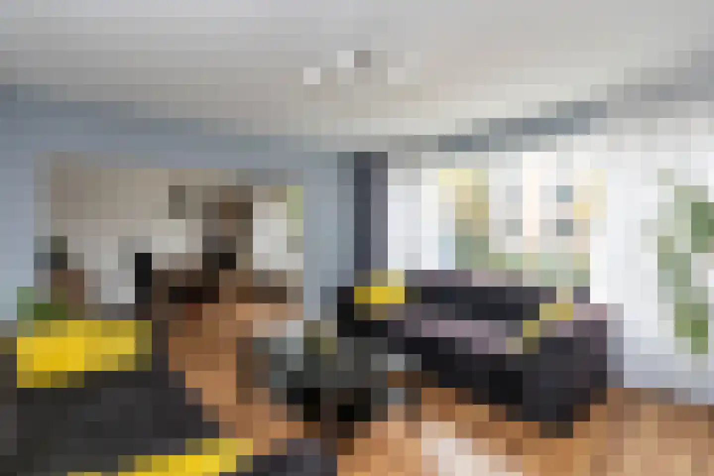 Steenvoordelaan 33 in Rijswijk