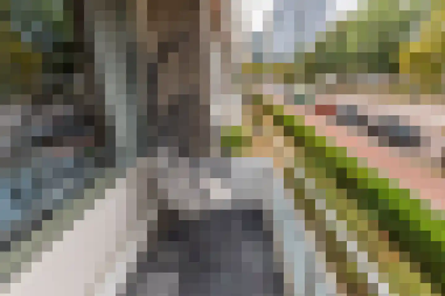 Steenvoordelaan 33 Rijswijk thumbnail 12