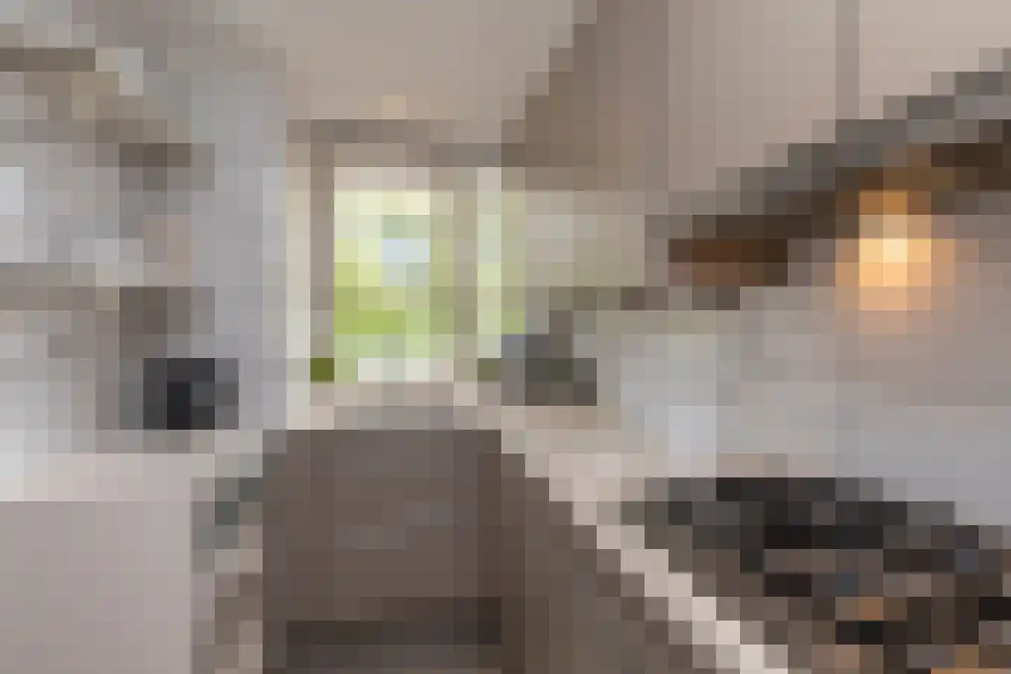 Steenvoordelaan 33 Rijswijk thumbnail 14