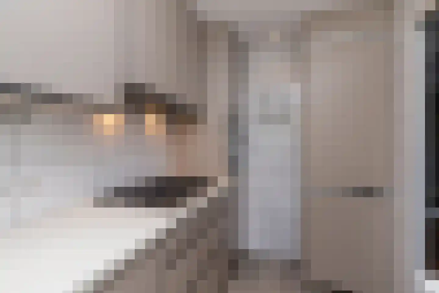 Steenvoordelaan 33 Rijswijk thumbnail 15