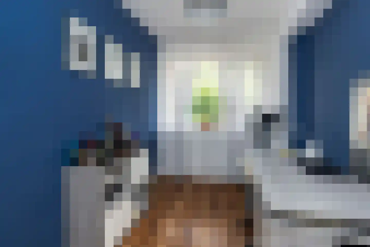 Steenvoordelaan 33 Rijswijk thumbnail 21