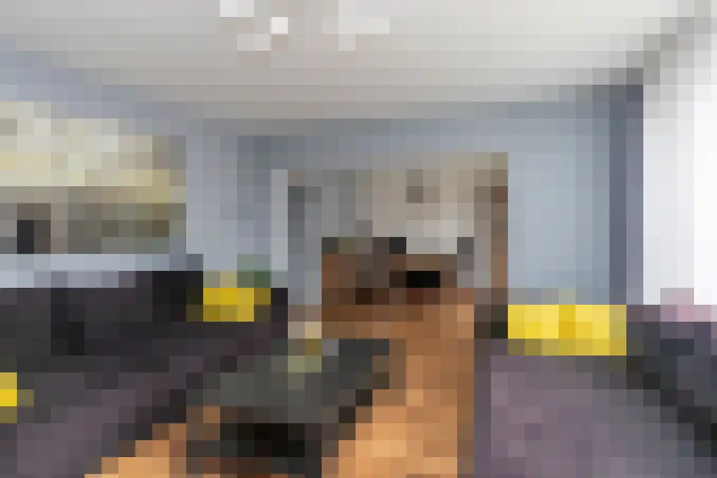 Steenvoordelaan 33 Rijswijk thumbnail 9