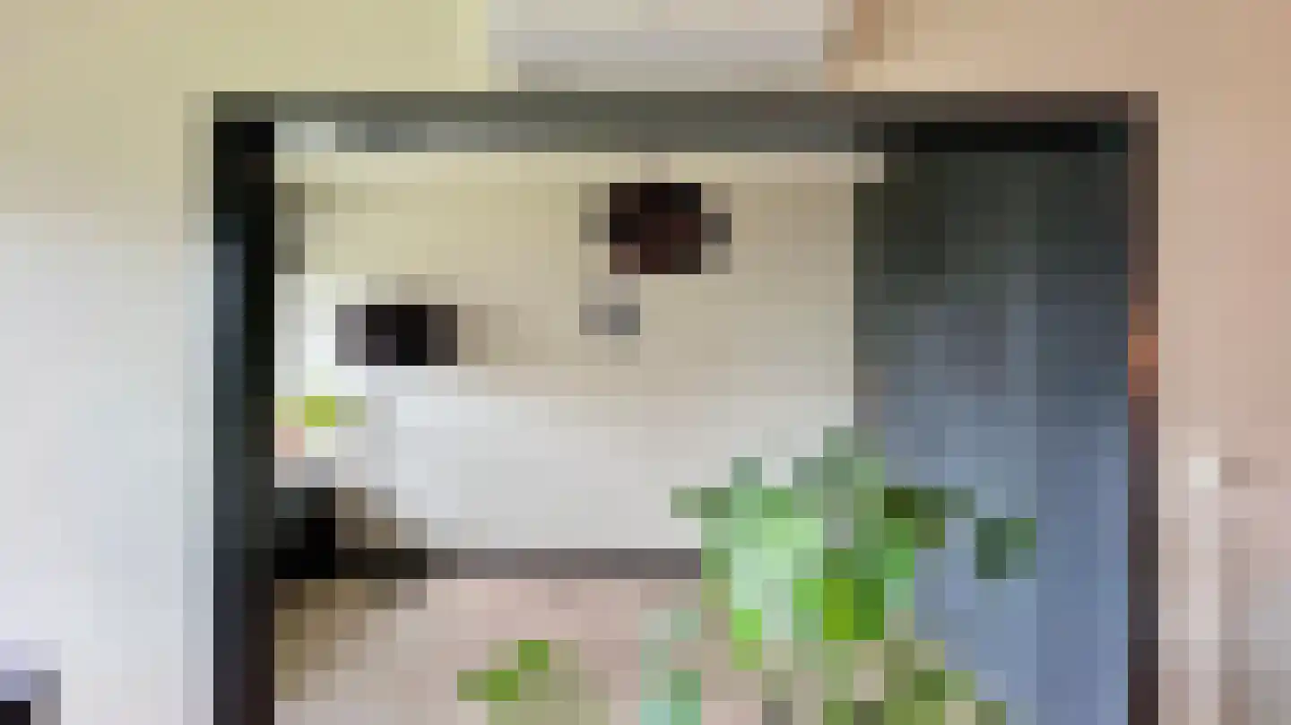Steenvoordelaan 336 Rijswijk thumbnail 12