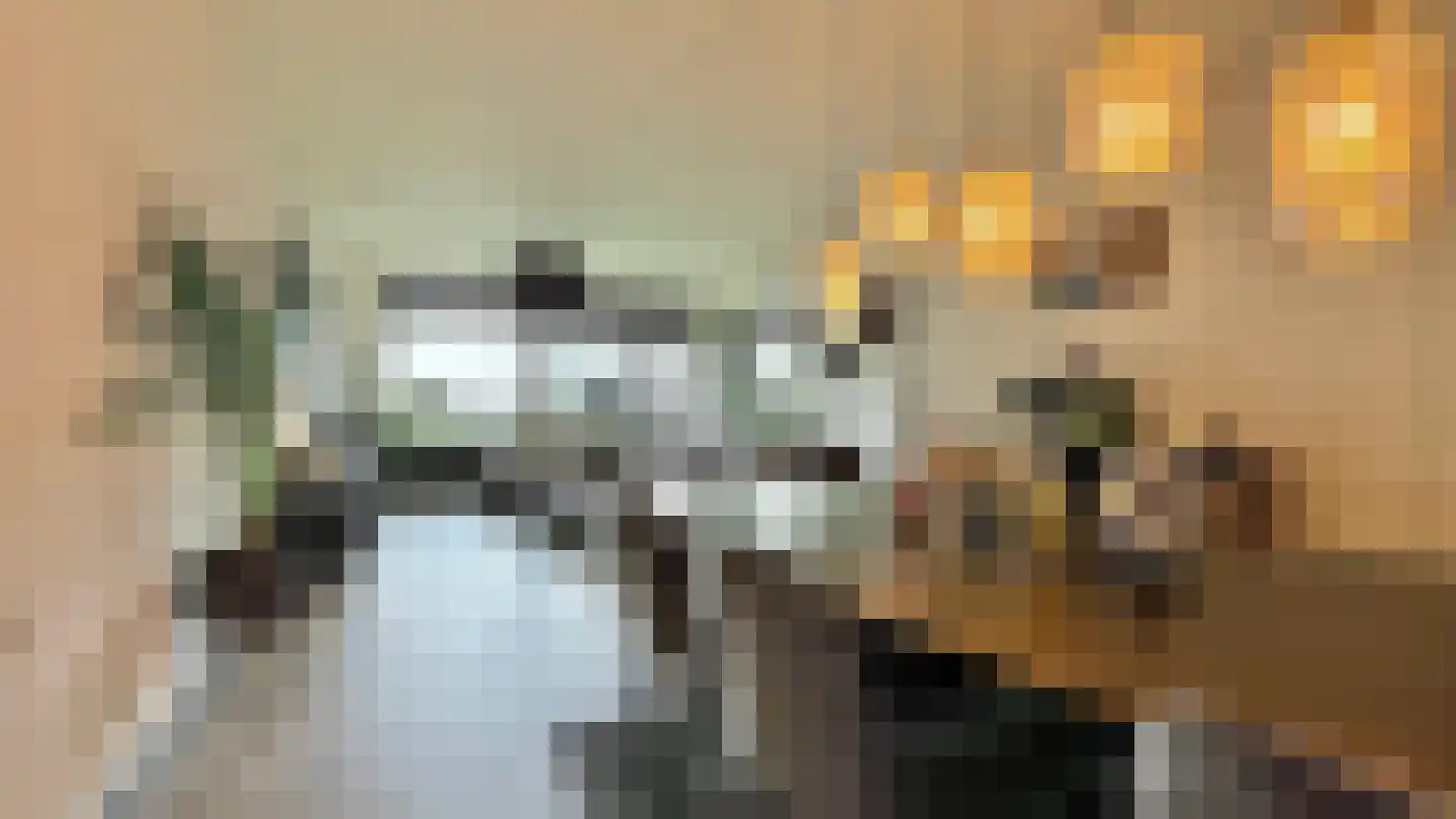 Steenvoordelaan 336 Rijswijk thumbnail 21