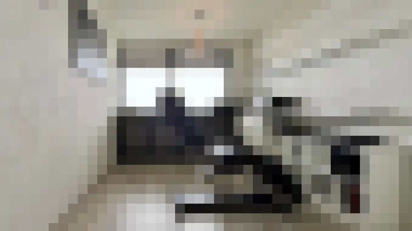 Steenvoordelaan 336 Rijswijk thumbnail 25