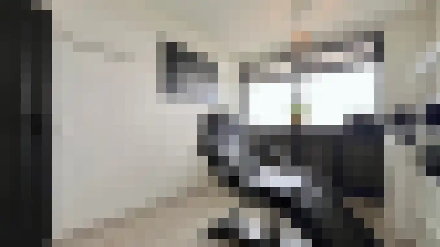 Steenvoordelaan 336 Rijswijk thumbnail 28