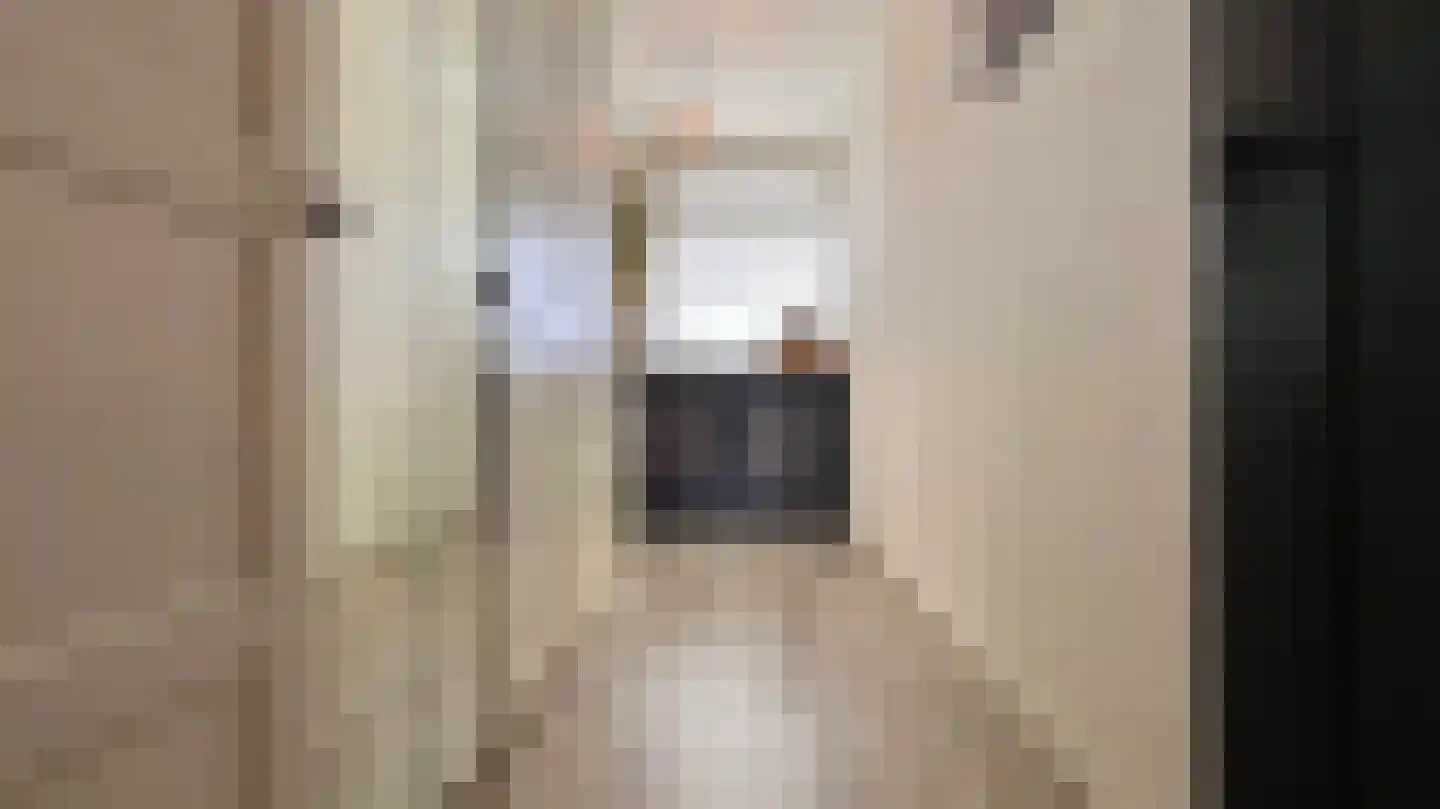 Steenvoordelaan 336 Rijswijk thumbnail 32