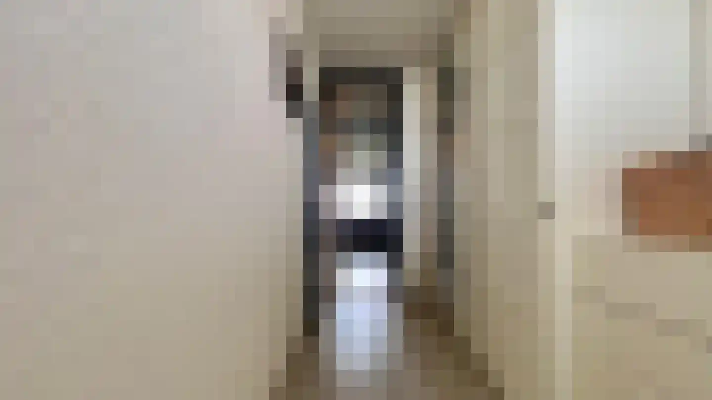 Steenvoordelaan 336 Rijswijk thumbnail 33