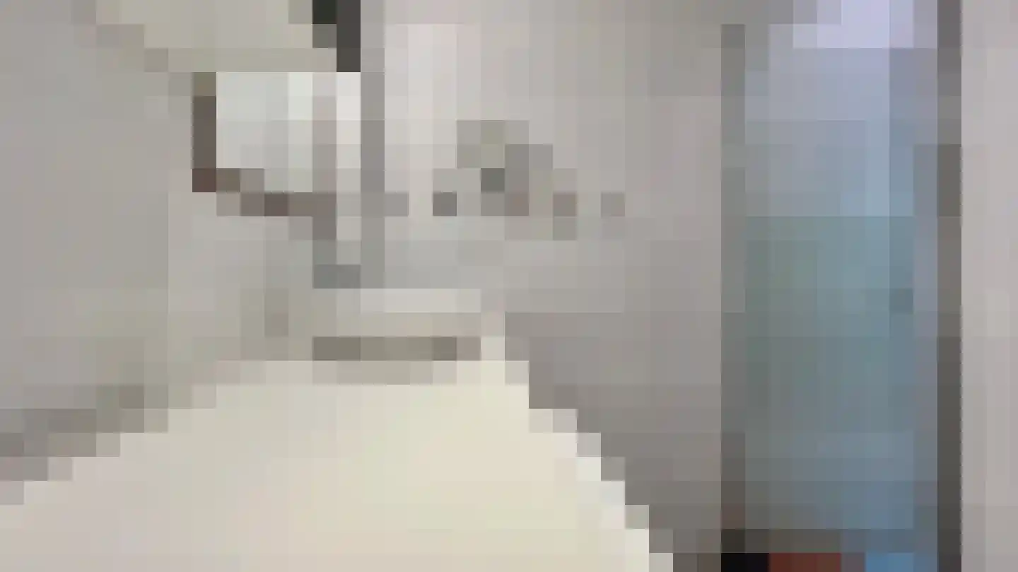 Steenvoordelaan 336 Rijswijk thumbnail 35