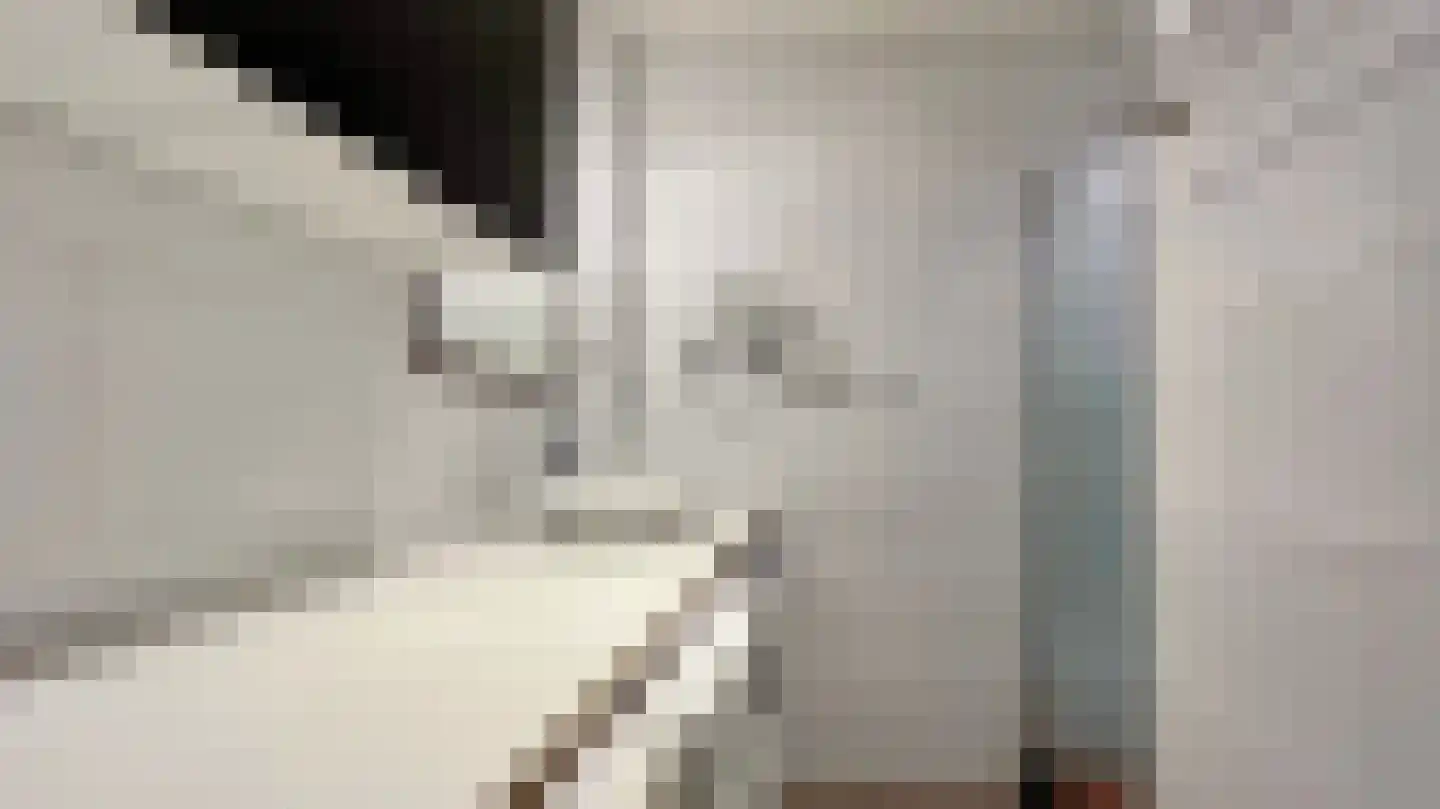 Steenvoordelaan 336 Rijswijk thumbnail 36