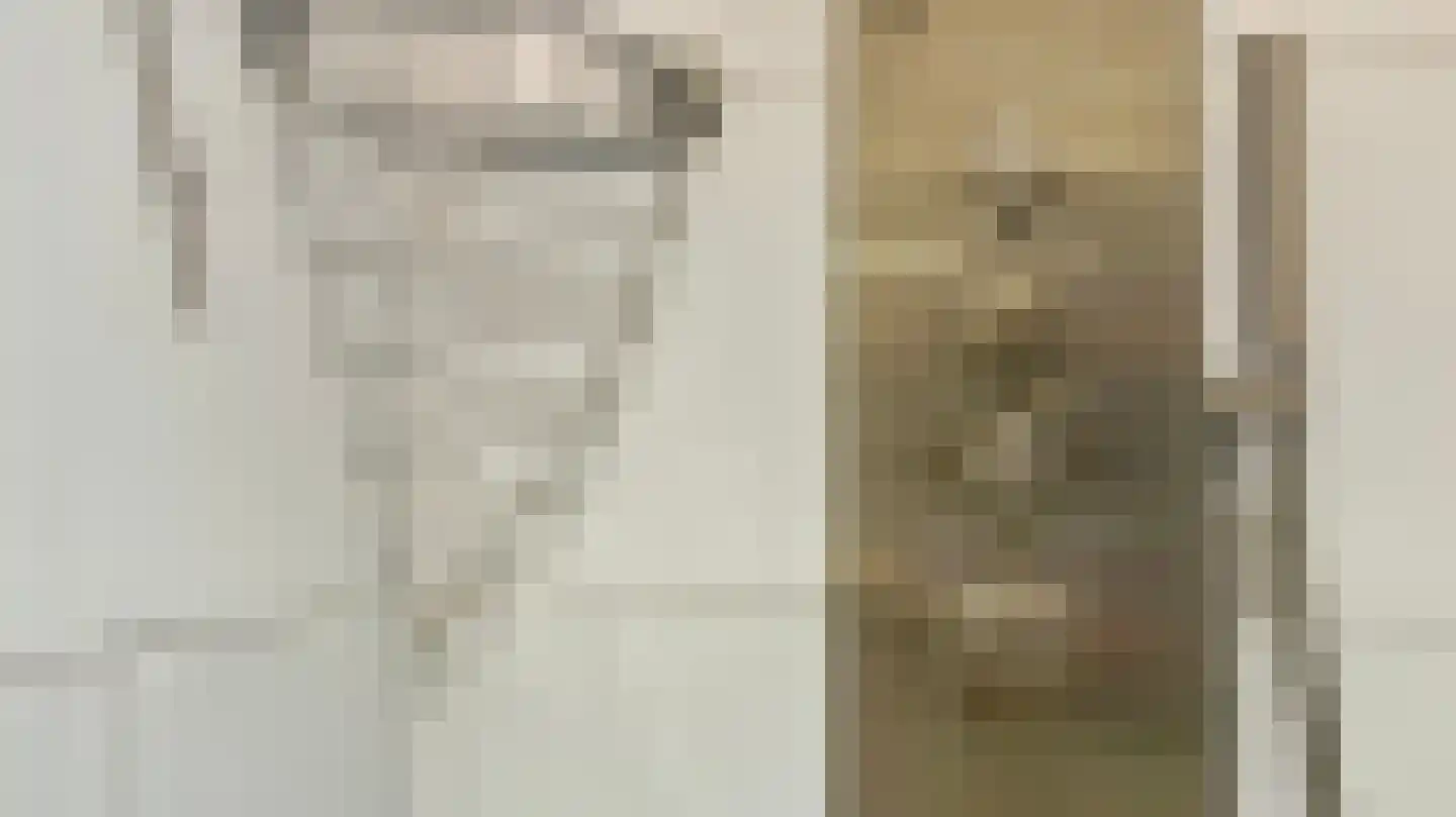 Steenvoordelaan 336 Rijswijk thumbnail 39