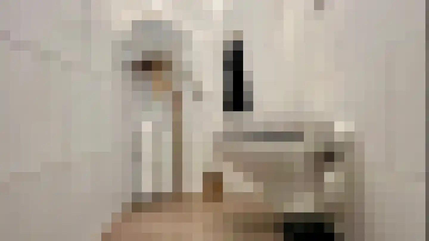 Steenvoordelaan 336 Rijswijk thumbnail 40