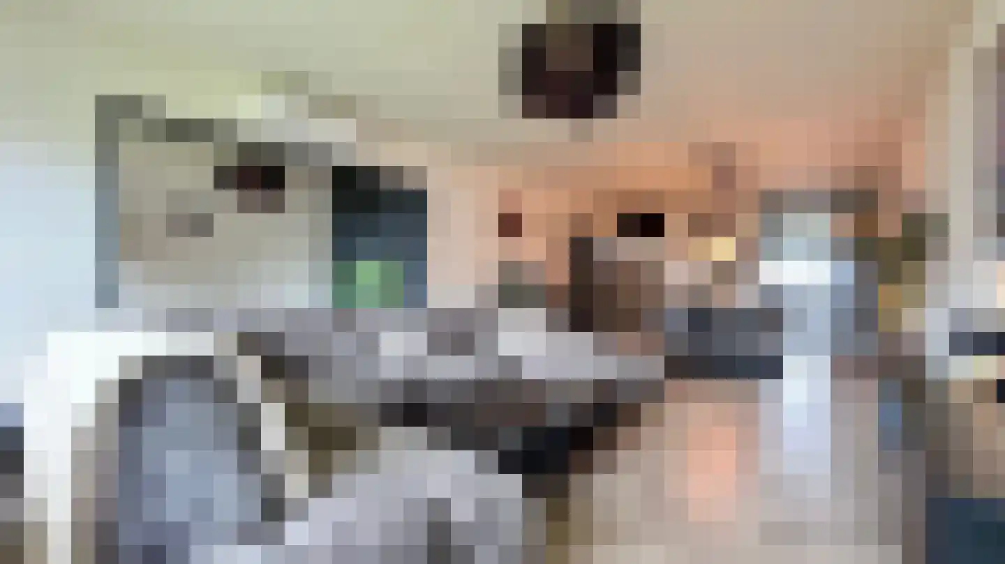Steenvoordelaan 336 Rijswijk thumbnail 8