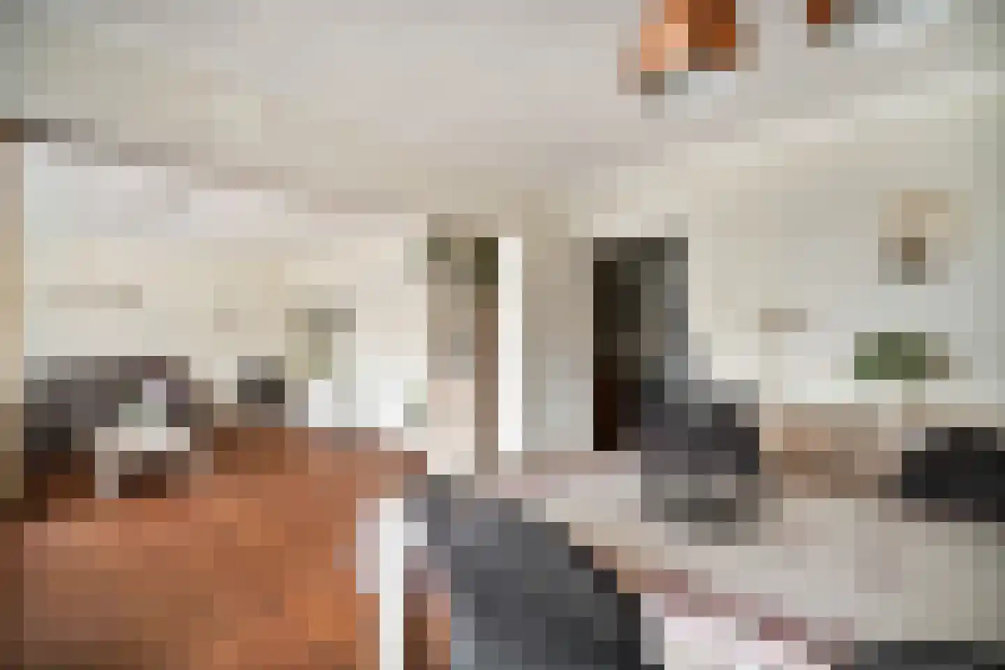 Steenvoordelaan 345 Rijswijk thumbnail 12