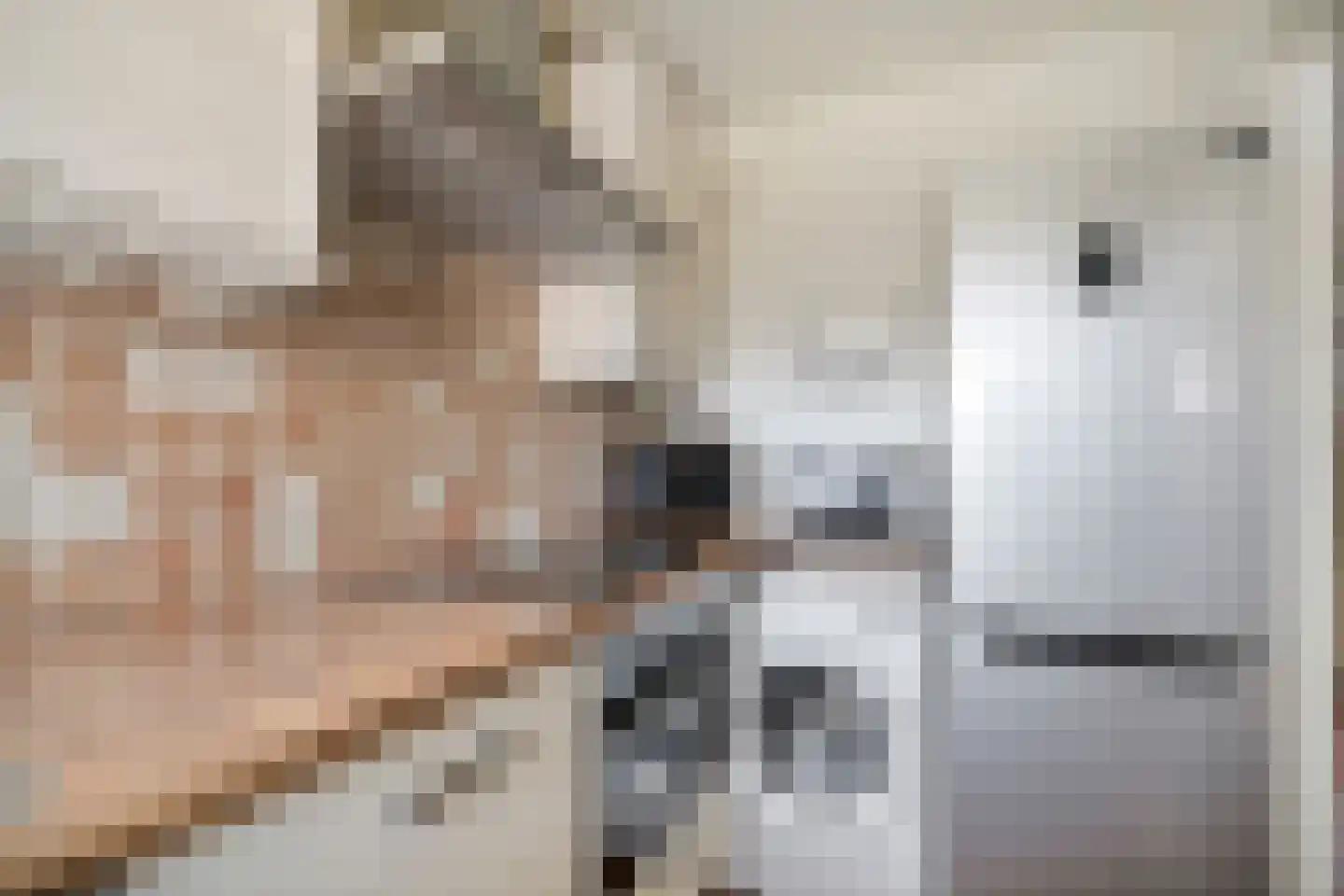 Steenvoordelaan 345 Rijswijk thumbnail 18
