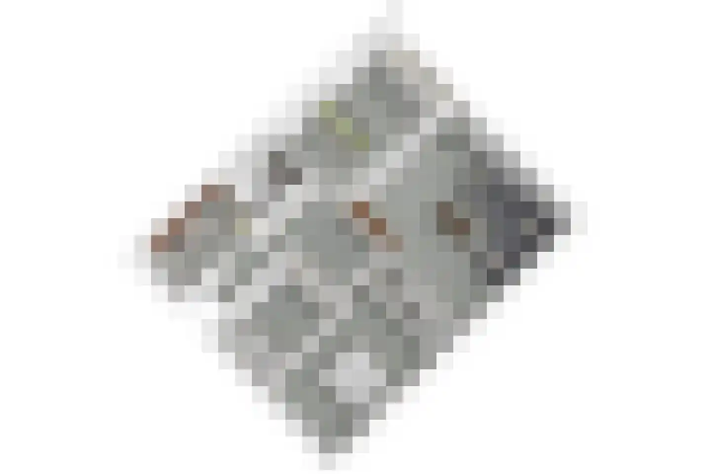 Steenvoordelaan 345 Rijswijk thumbnail 36