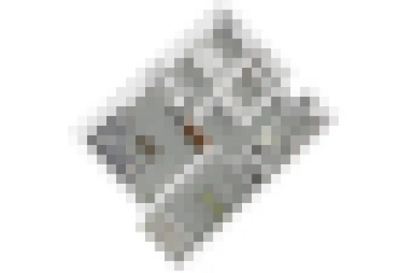 Steenvoordelaan 345 Rijswijk thumbnail 37