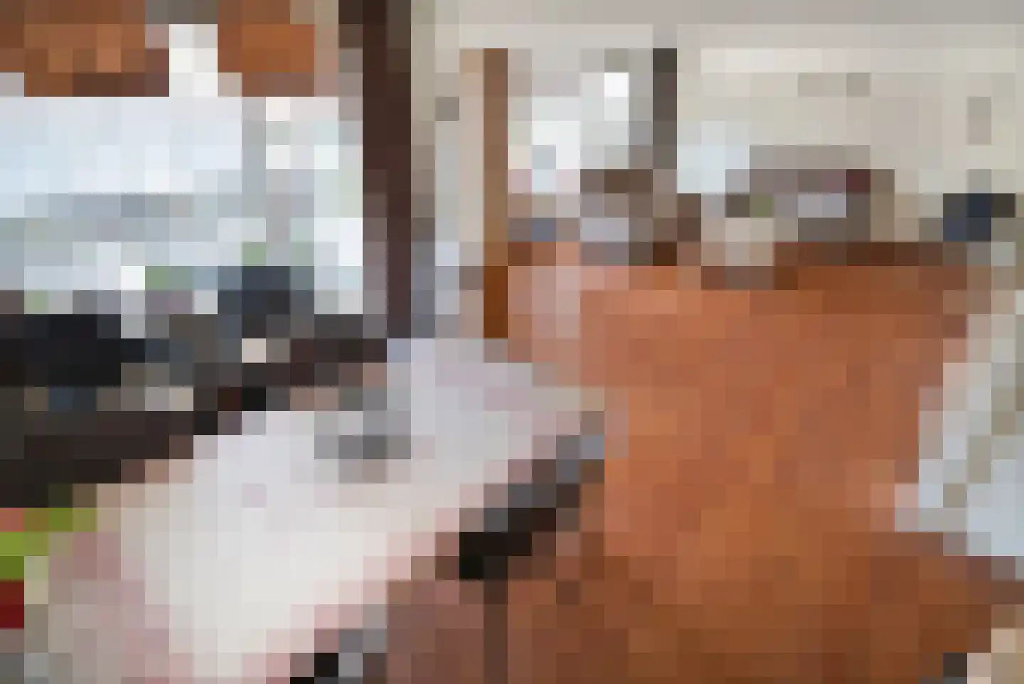 Steenvoordelaan 345 Rijswijk thumbnail 5