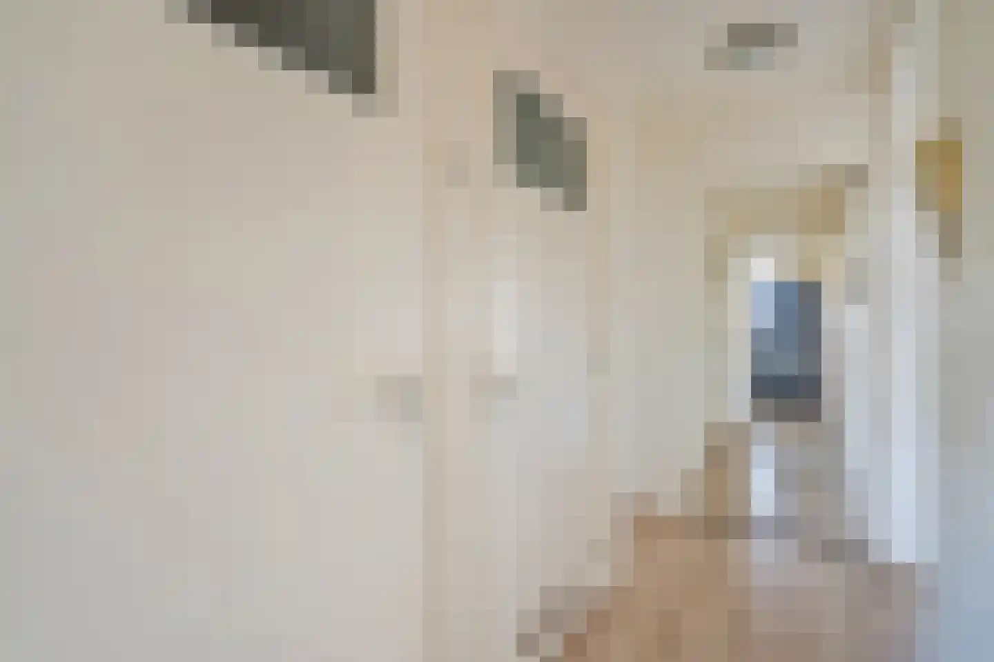 Steenvoordelaan 347 Rijswijk thumbnail 21