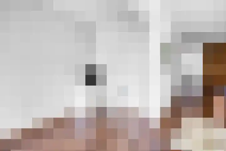 Steenvoordelaan 350 Rijswijk thumbnail 12