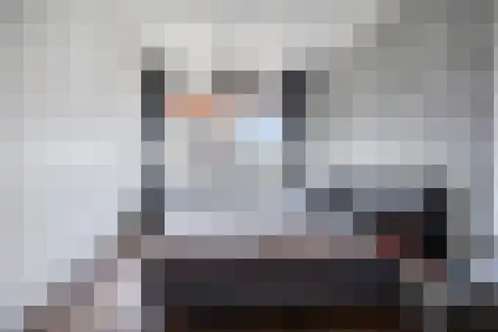 Steenvoordelaan 350 Rijswijk thumbnail 18
