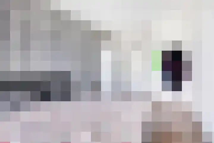 Steenvoordelaan 350 Rijswijk thumbnail 19