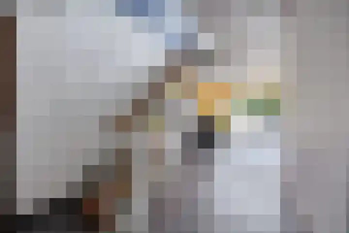 Steenvoordelaan 350 Rijswijk thumbnail 25