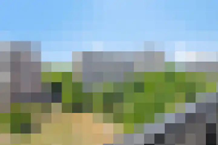 Steenvoordelaan 350 Rijswijk thumbnail 27