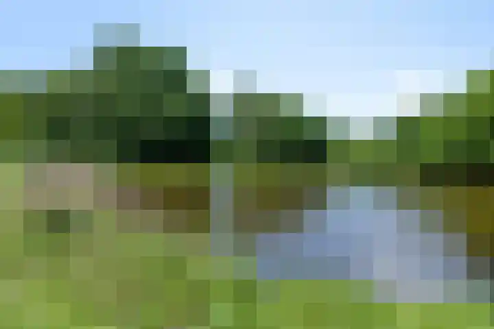 Steenvoordelaan 350 Rijswijk thumbnail 29