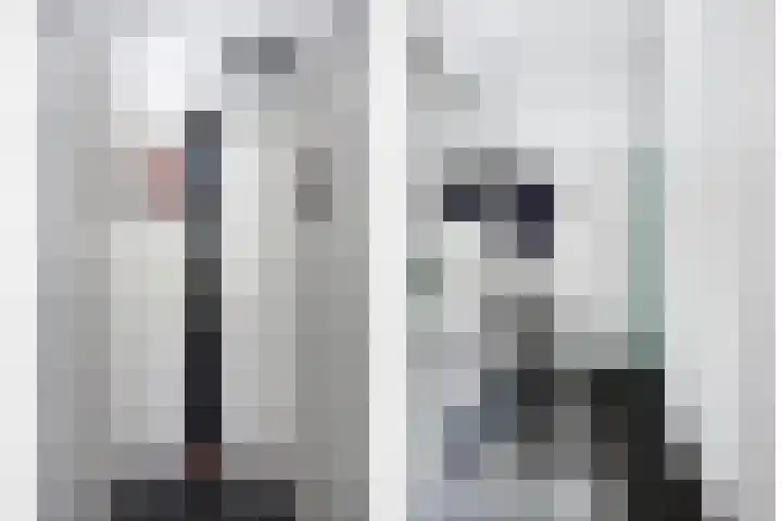 Steenvoordelaan 350 Rijswijk thumbnail 4
