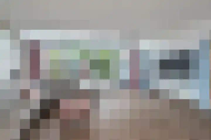 Steenvoordelaan 360 b Rijswijk thumbnail 12